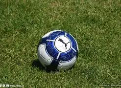 揭秘趋势跟,随交易盈利,之道,大发彩票官方网站,大发彩票官方,大发快三彩票,大发彩票体育平台,大发彩票赛事机构,大发彩票直播运营公司