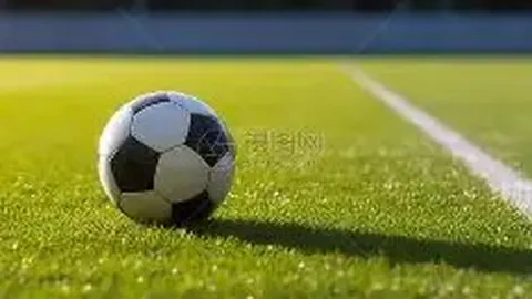 “揭秘海港球迷邱少：真名实情与争议热议背后的故事”