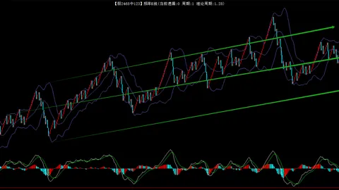大乐透261051期专家推荐号码走势分析